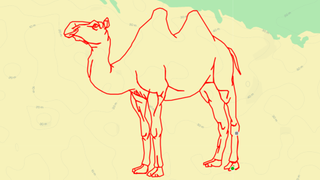 Strava art by Gustavo Lyra - camel