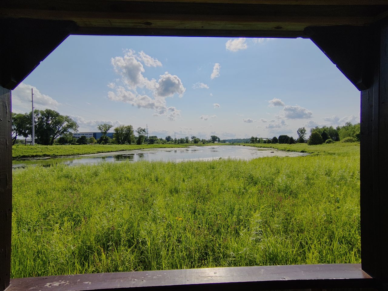 TCL 20 Pro 5G camera samples