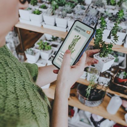 A woman uses her smartphone to identify a plant