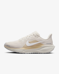 Nike Pegasus 41—men's