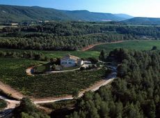 penedes