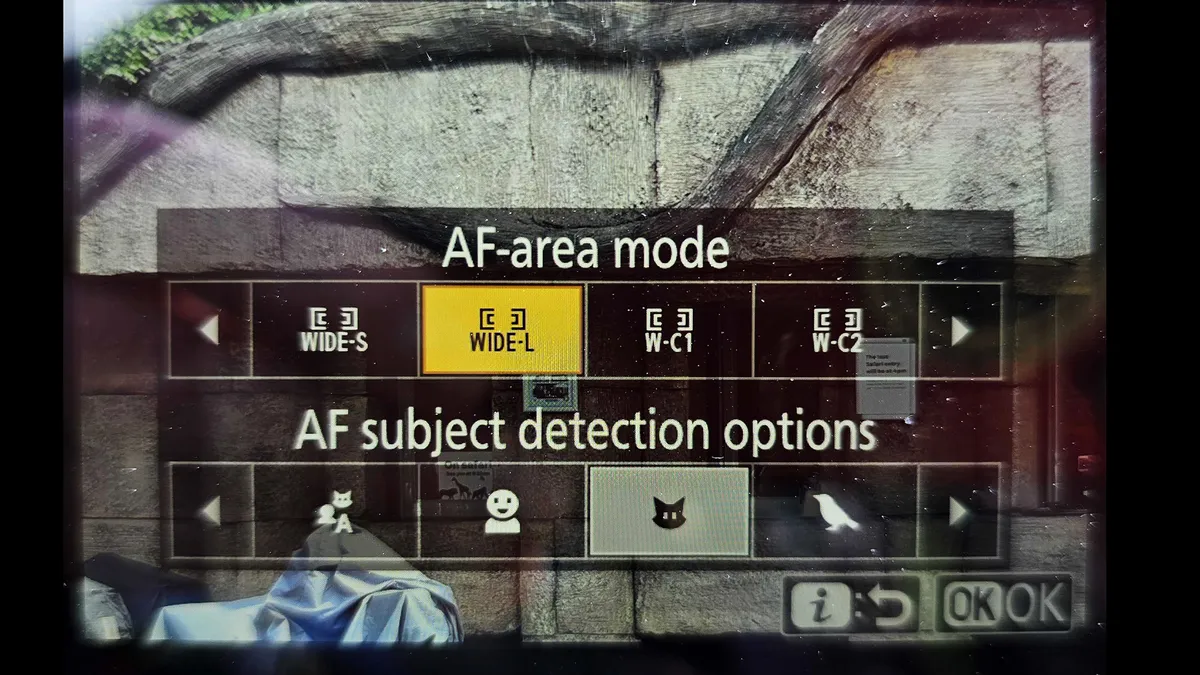Lens selection