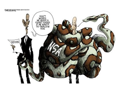 Obama cartoon NSA reform