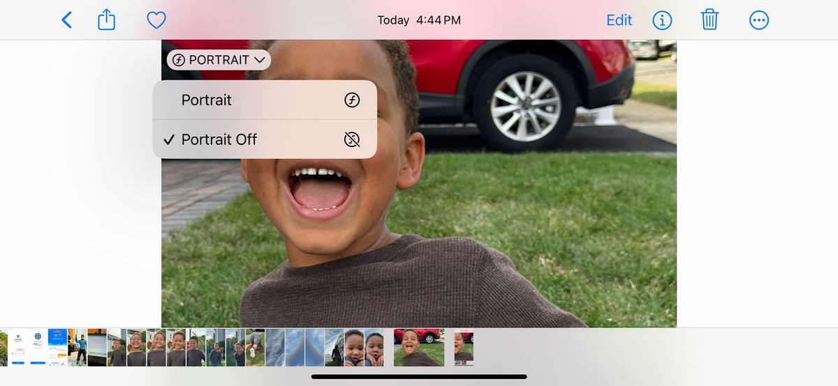 Apple iPhone 15 Pro Max portrait mode controls