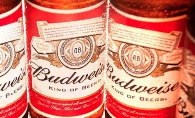 Budweiser waters down beers