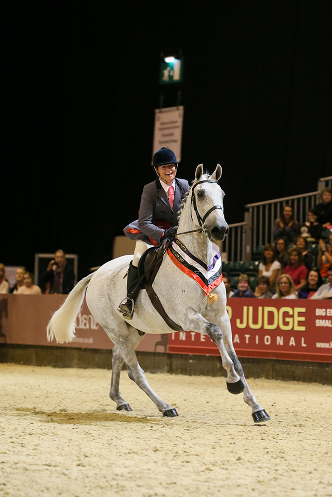 SEIB Search For A Star Riding Club Horse