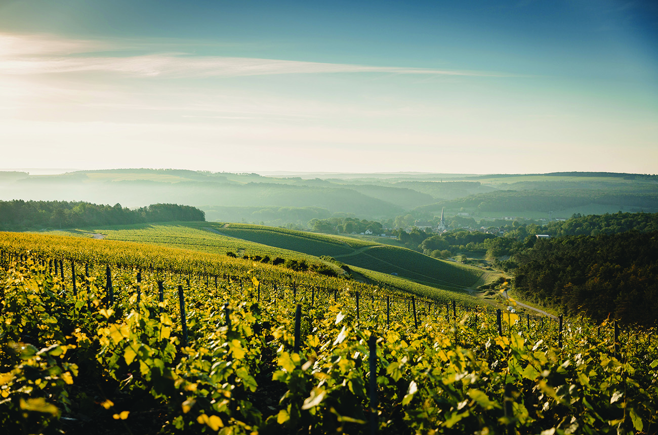C&ocirc;te des Bar Champagne