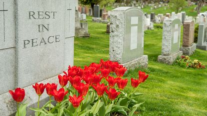 rest in peace on cemetery tombstone with flowers for death taxes