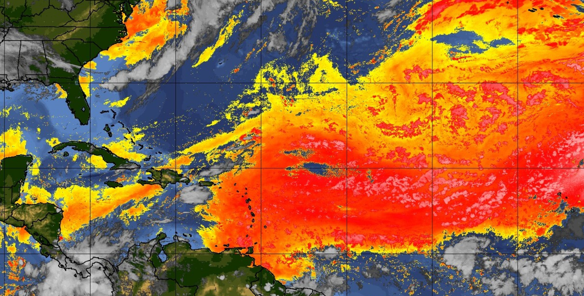 The giant Saharan dust plume has arrived in the US | Live Science