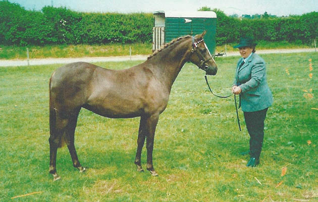 Ardenhall Royal Secrete
