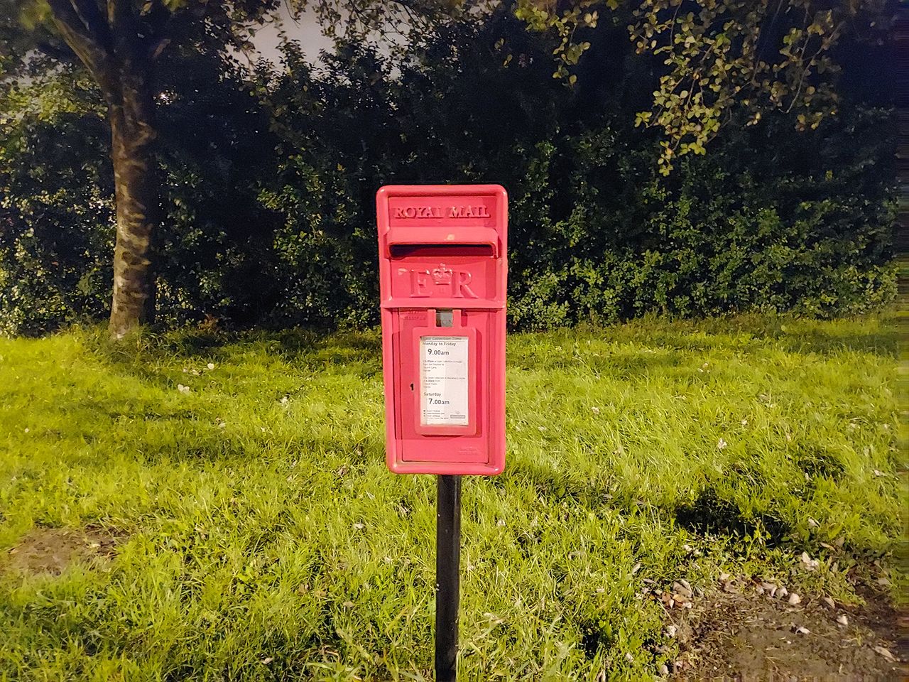 Samsung Galaxy S10 Lite camera sample