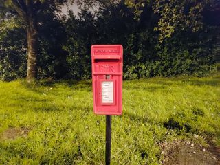 Samsung Galaxy S10 Lite camera sample