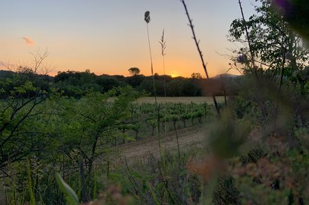 Languedoc 2022 2023 - sunset in Terrasses du Larzac