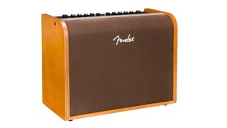 Best Fender amps: Fender Acoustic 100
