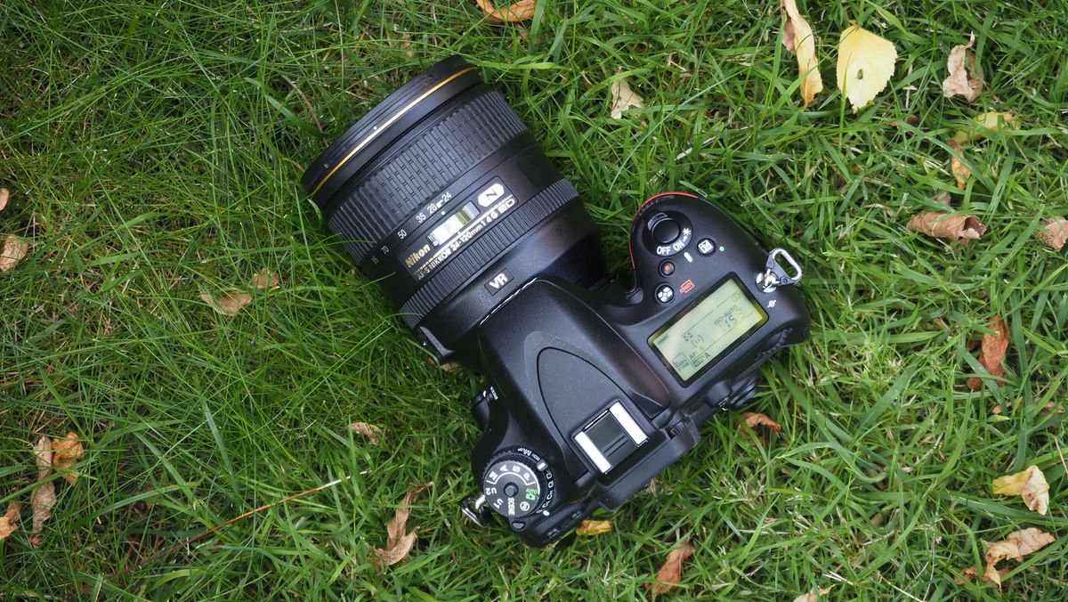 Nikon D610 on a grass lawn