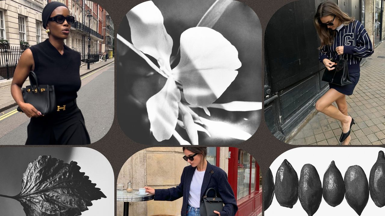 Collage of French women wearing Hermes in Paris and perfume ingredients 