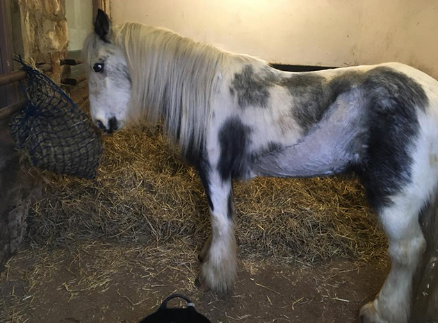 Tino now stable