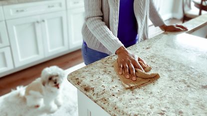 Unrecognizable woman wipes down kitchen counter while out-of-focus dog yawns behind her