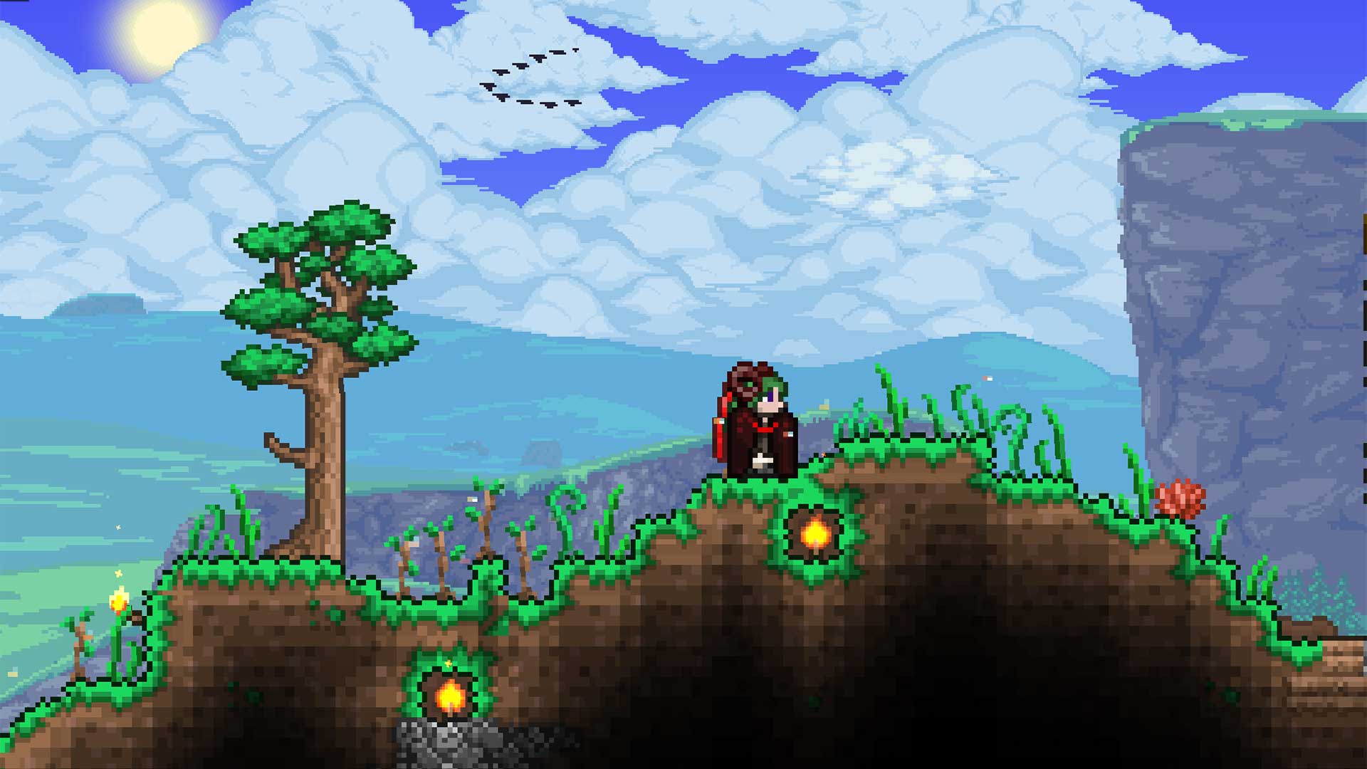 Terraria 1.4.5 - Tall grass that extends over normal blocks