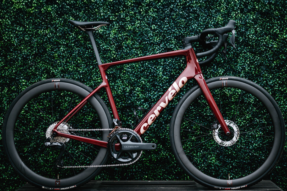 Cervelo Caledonia against a hedge