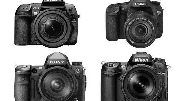 Group shot of Digital SLR Cameras