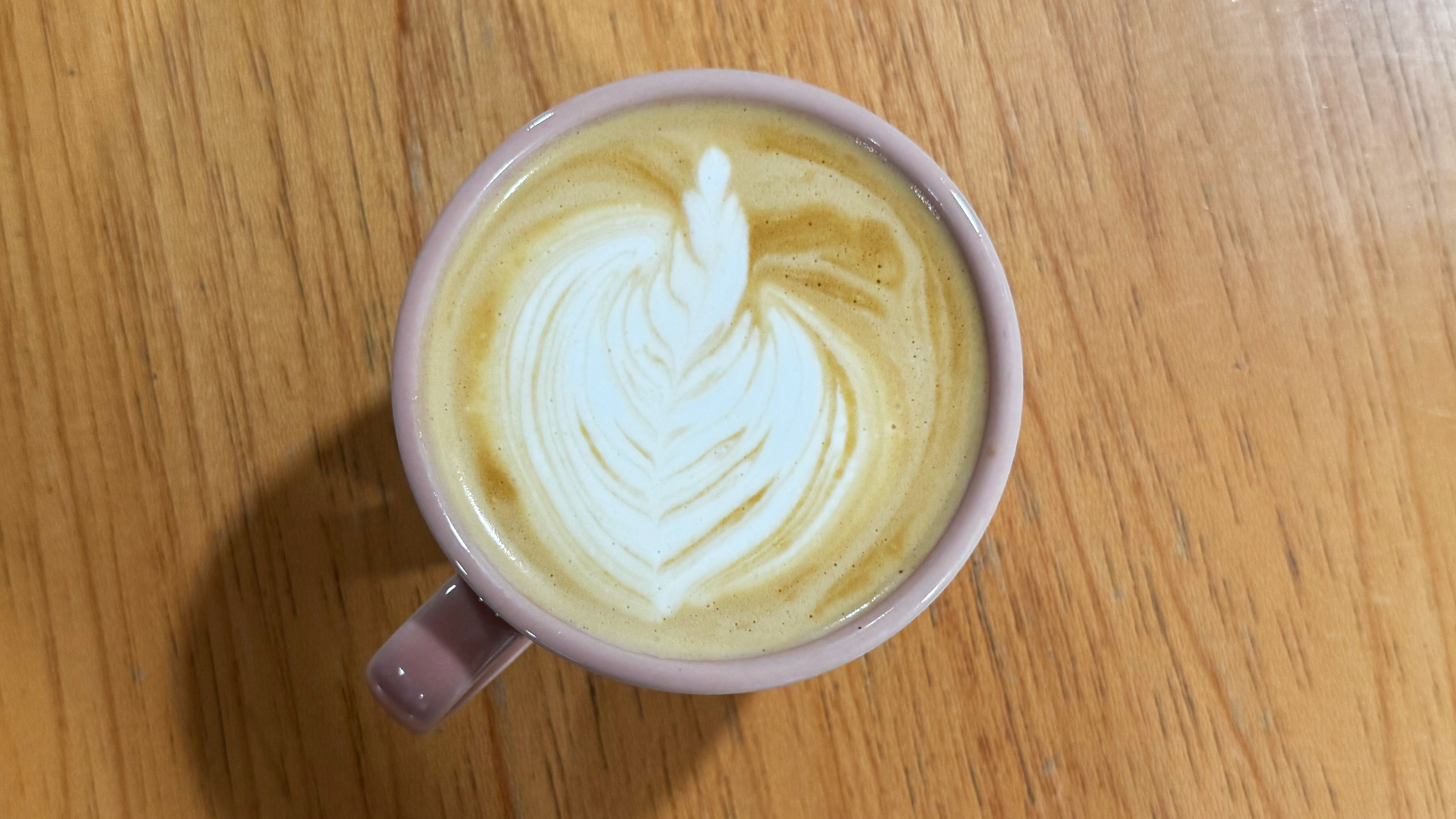 a photo of auto milk made on the ninja luxe cafe mini plus