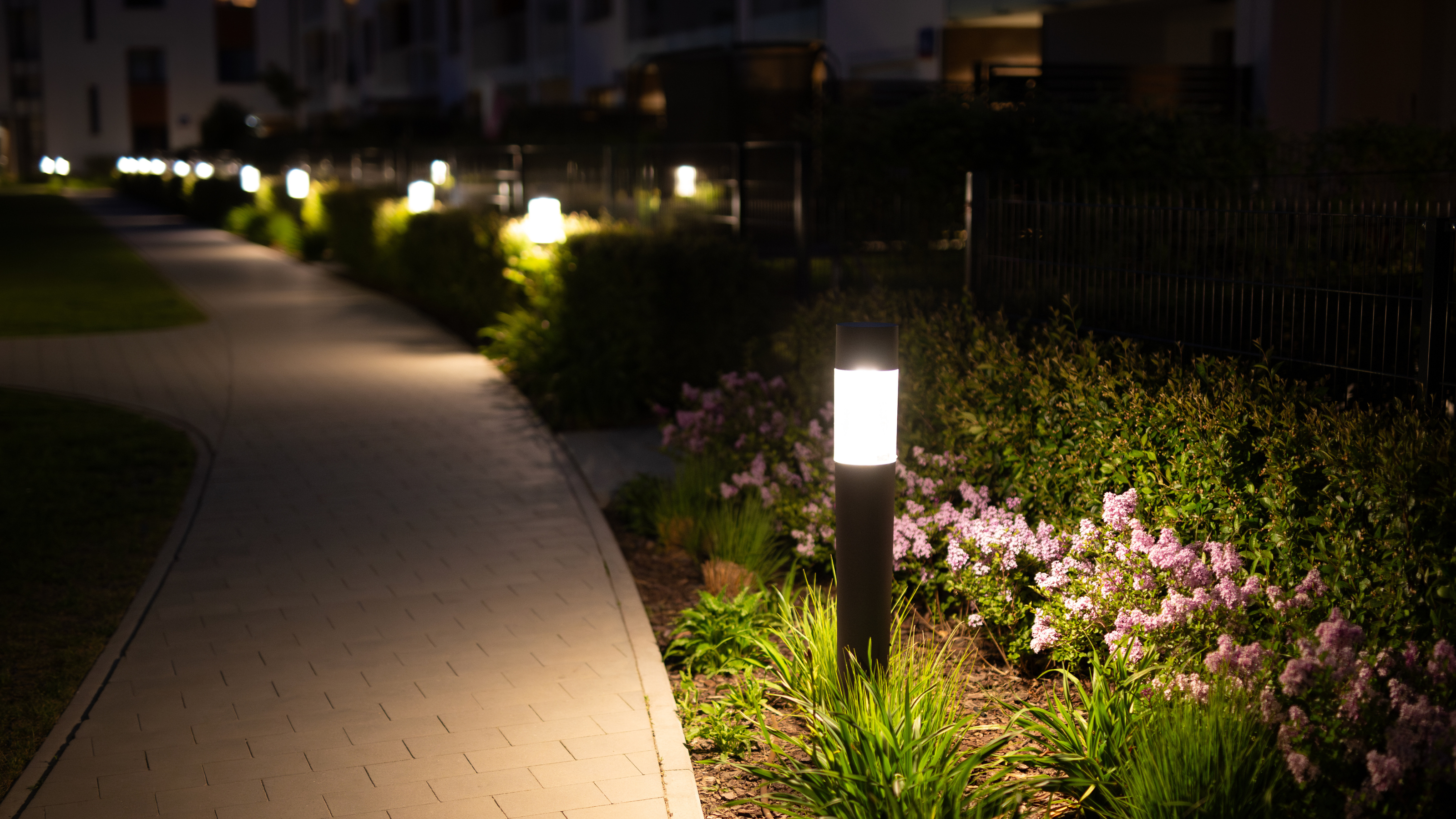 Garden solar lights in the dark.