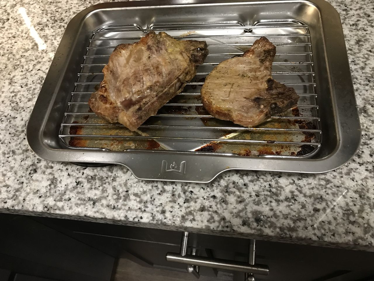 Wolf Gourmet Countertop Oven