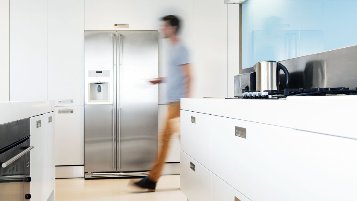 Best American style fridge freezers 2020 enough space for food to feed