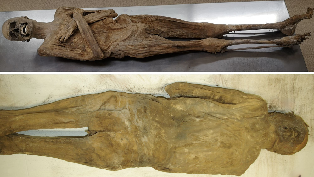 18th-century monk's anus was stuffed with wood chips and fabric to mummify him, researchers discover