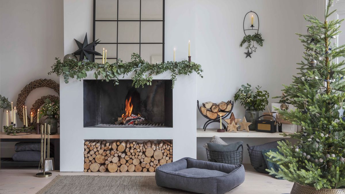 How to grow your own Christmas tree Gardeningetc