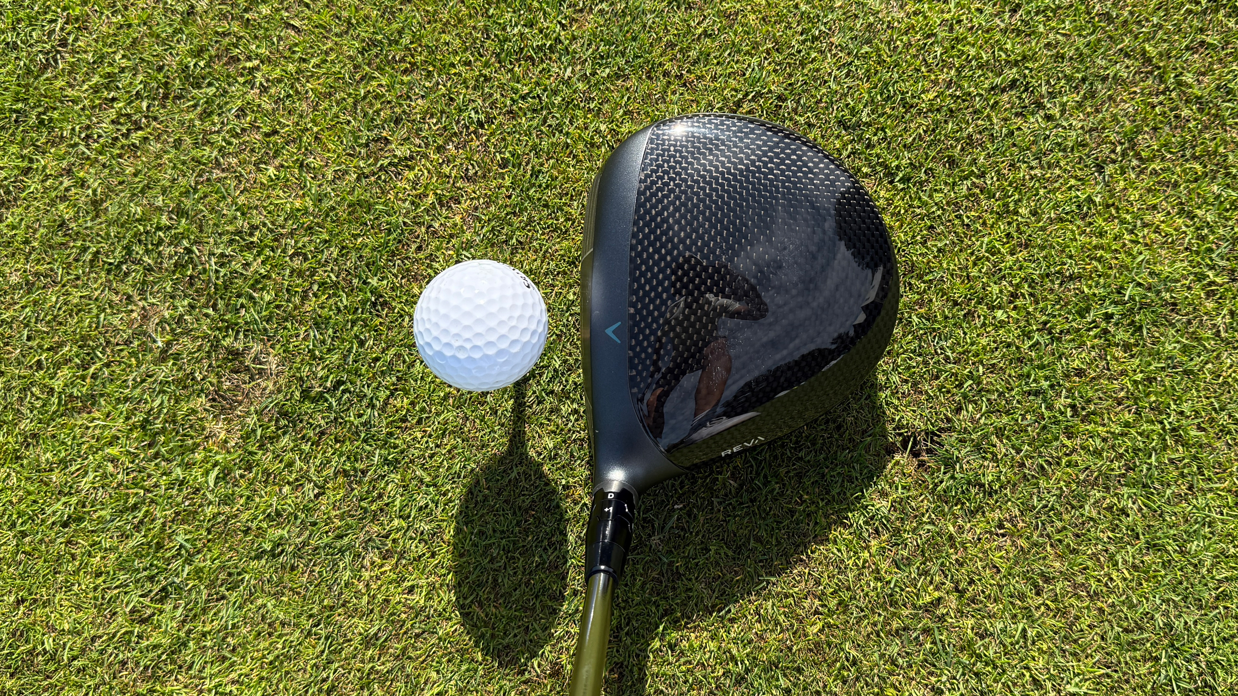 Callaway Reva Rise driver at address