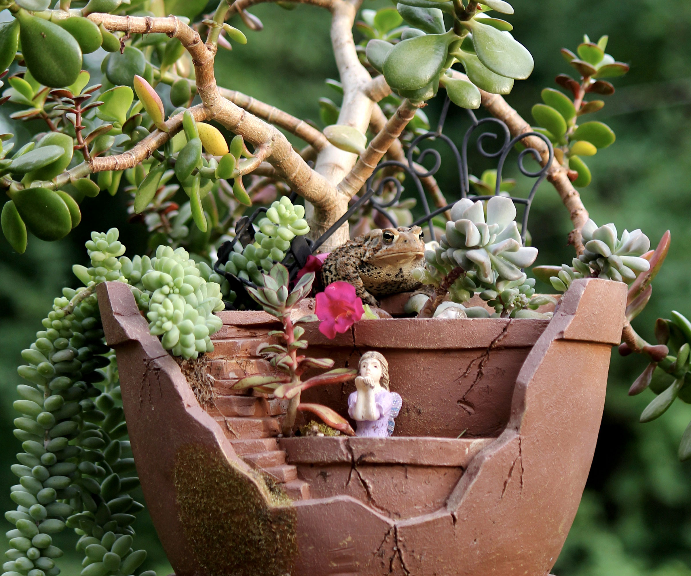 fairy garden container with fairy and succulents