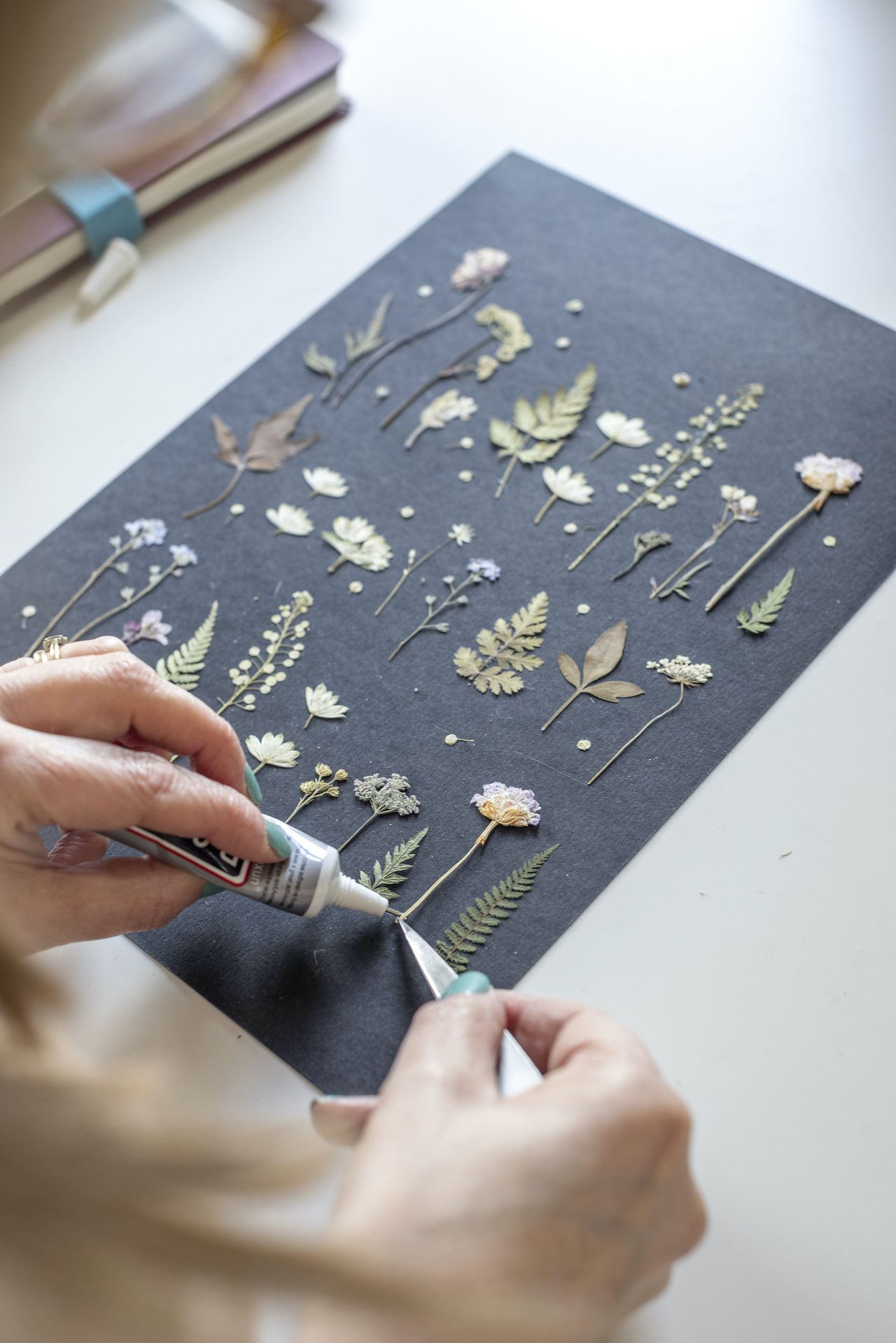 How to click flowers with their views in books and artwork