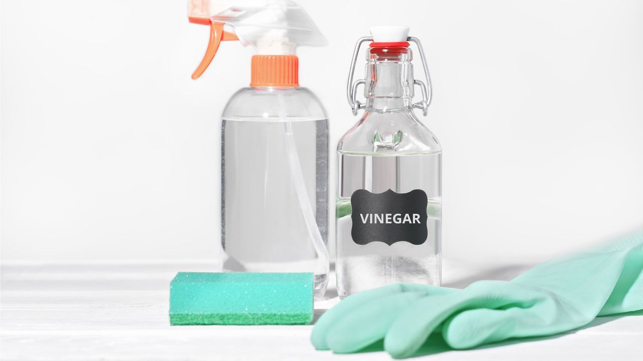 vinegar for cleaning