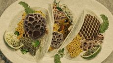 Photo collage of various odd food-adjacent items inside taco shells