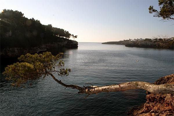 The view of the sea from the riders' camp