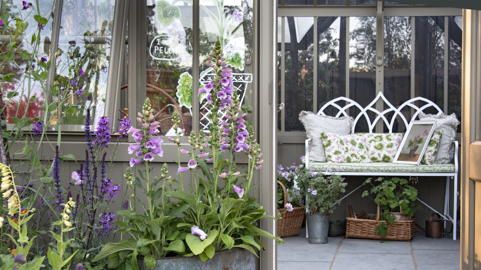 Foxgloves and salvia growing in containers outside a summer house