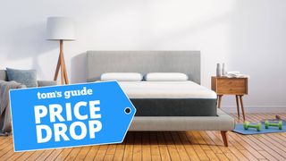 Bear mattress deal