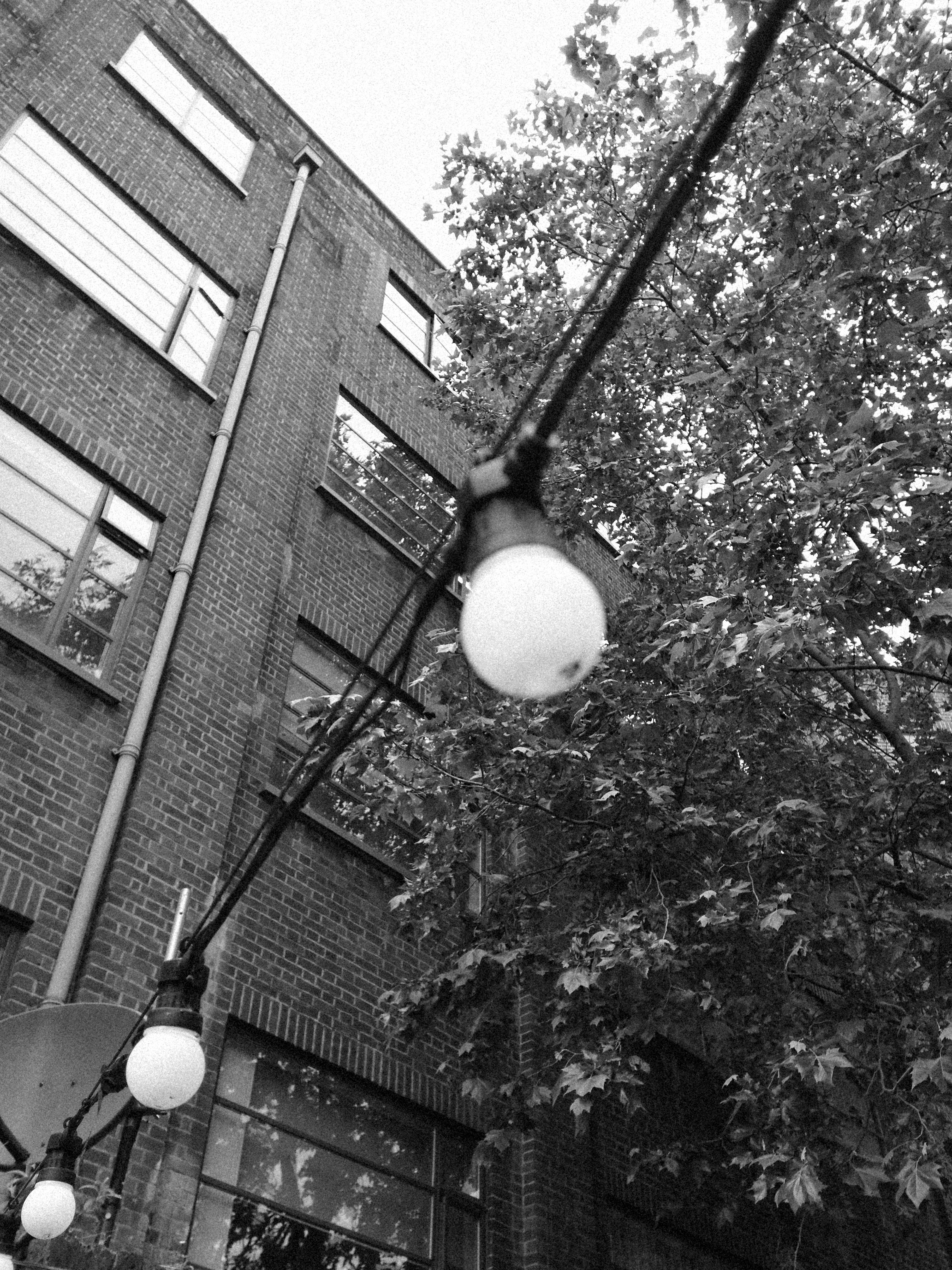 Red brick office building with string of light bulbs in front