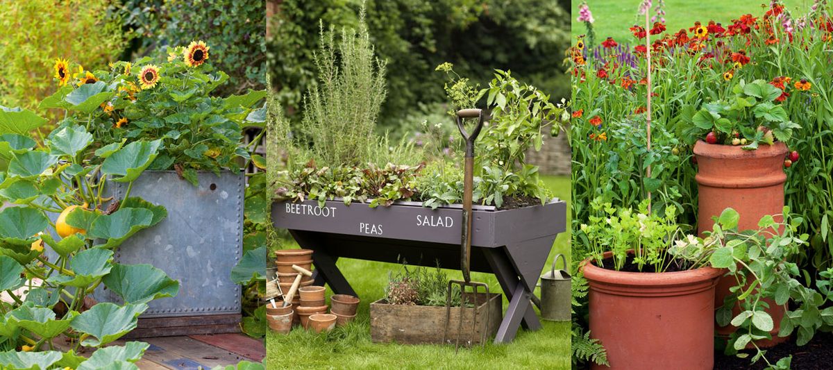 Vegetable garden container ideas – 20 ways to grow crops in pots