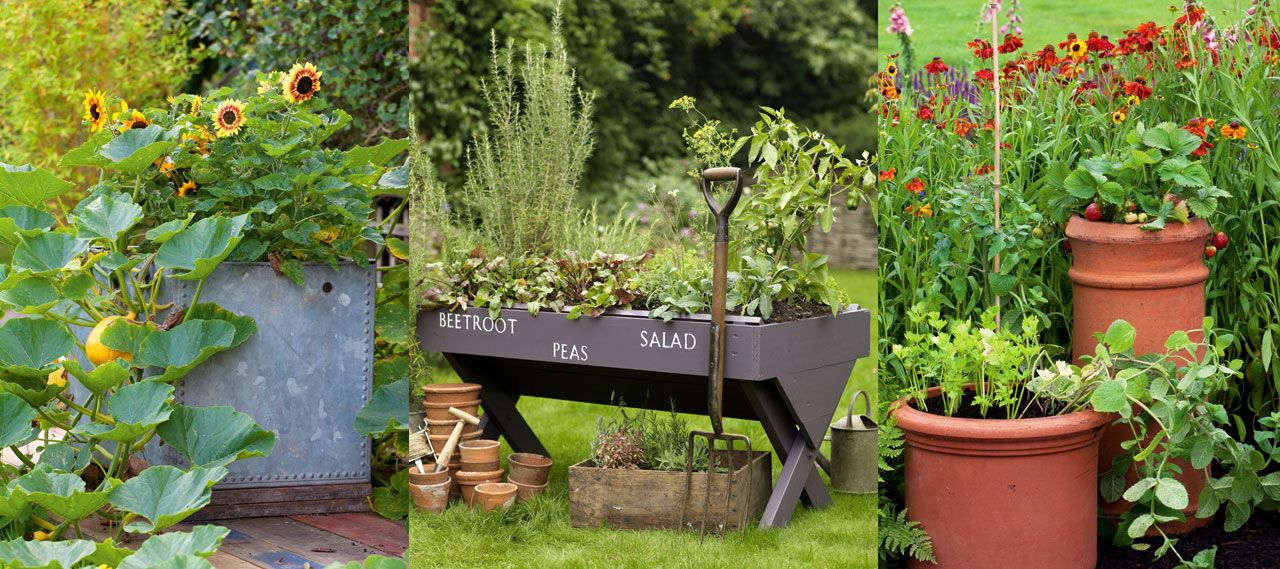 vegetable garden container ideas