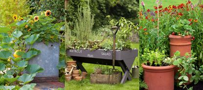 vegetable garden container ideas