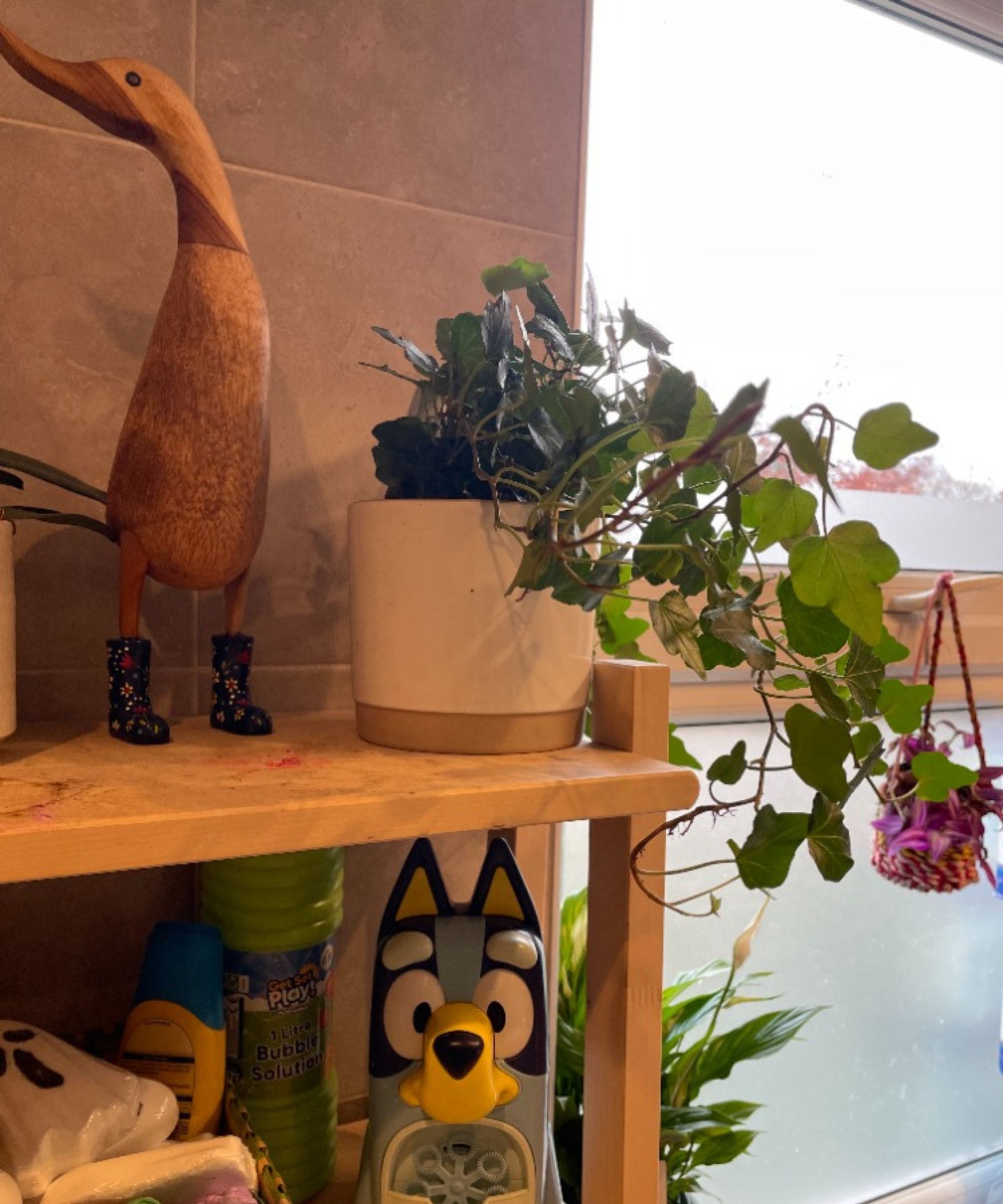English ivy sits on a bathroom shelf cluttered with bath toys