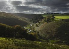 The River Barle at Cornham Brake near Simonsbath, Exmoor National Park.