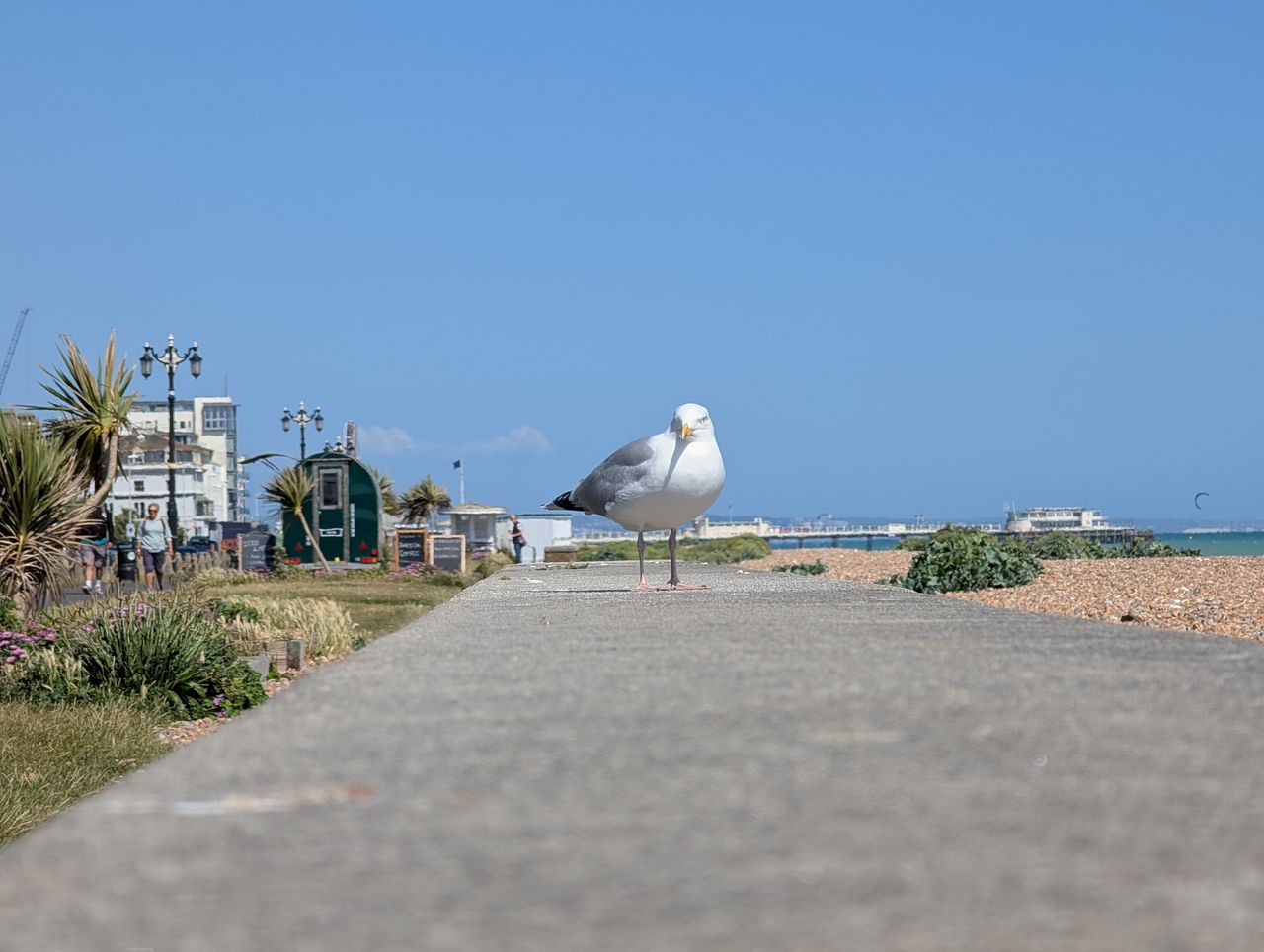 Google Pixel 9 Pro camera sample 5x zoom
