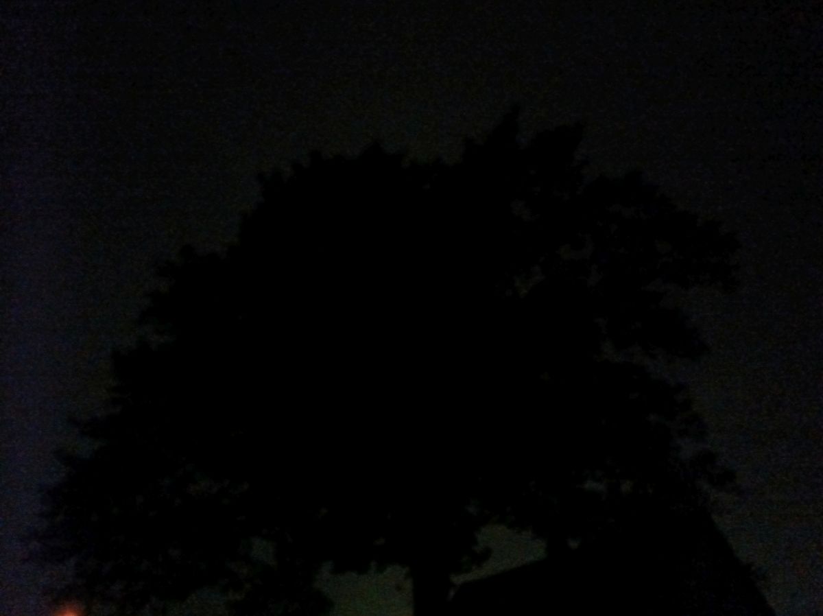 Punkt MC02 Phone low light sample.