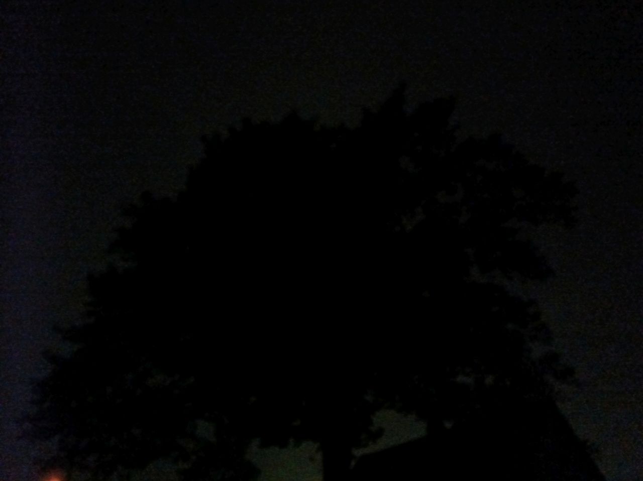 Punkt MC02 Phone low light sample.