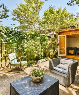 A backyard space with wooden fencing with vines and trees next to it, two outdoor seats with cushioning, a black rattan coffee table with a planter on it, and a rich wooden backyard room behind them