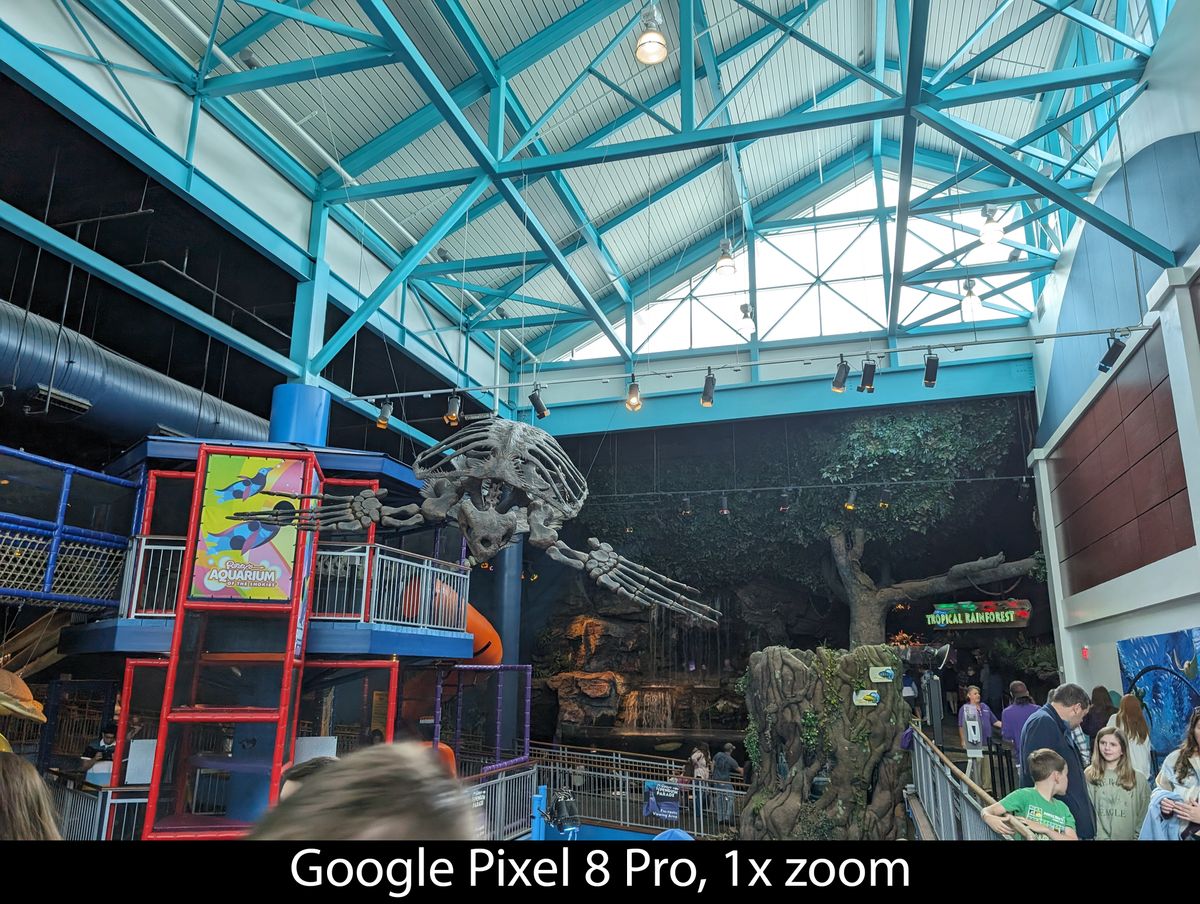Camera samples from the Google Pixel 8 Pro's main camera